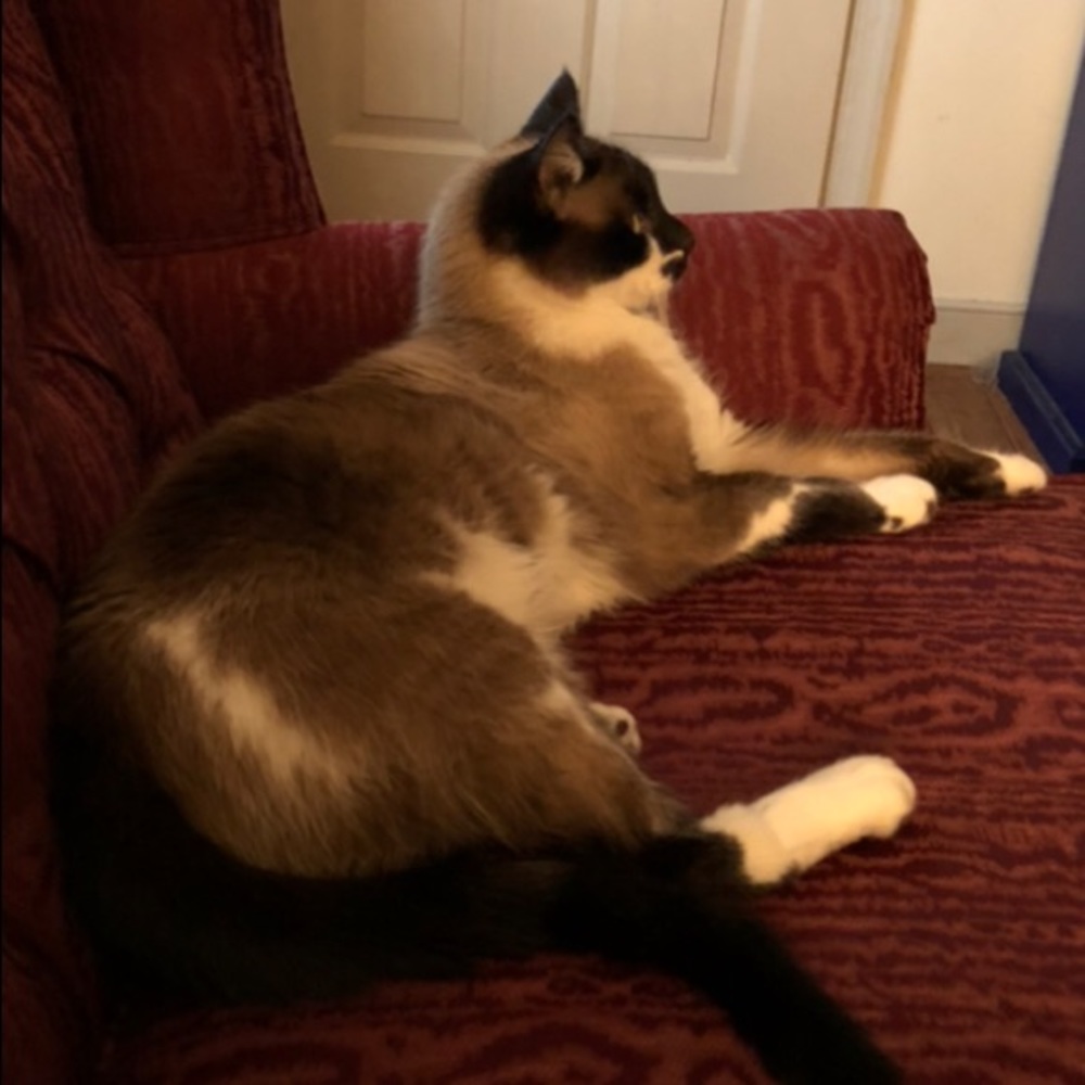 Make me an offer on any of the items!!